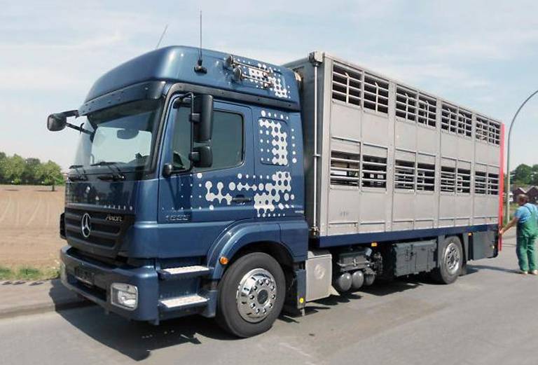 Перевозка домашнего скота недорого из Москва в Владивосток